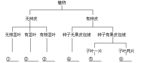 智慧教育云平台